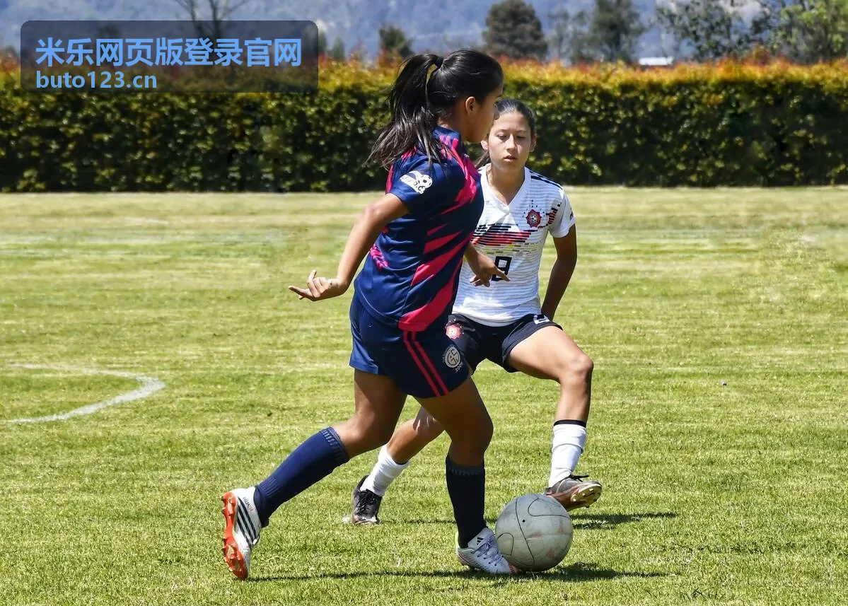米乐网页版登录官网多设备登录体验