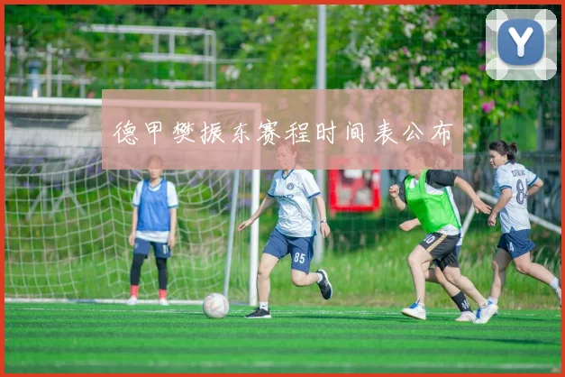 德甲樊振东赛程时间表公布