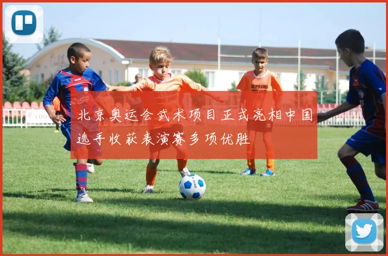 北京奥运会武术项目正式亮相中国选手收获表演赛多项优胜