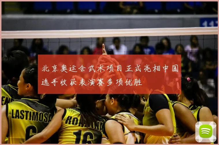 北京奥运会武术项目正式亮相中国选手收获表演赛多项优胜