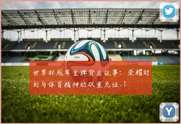世界杯冠军金牌背后故事：荣耀时刻与体育精神的双重见证_1