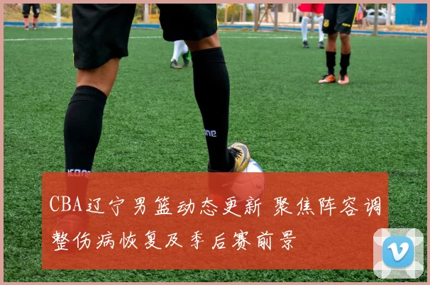 CBA辽宁男篮动态更新 聚焦阵容调整伤病恢复及季后赛前景