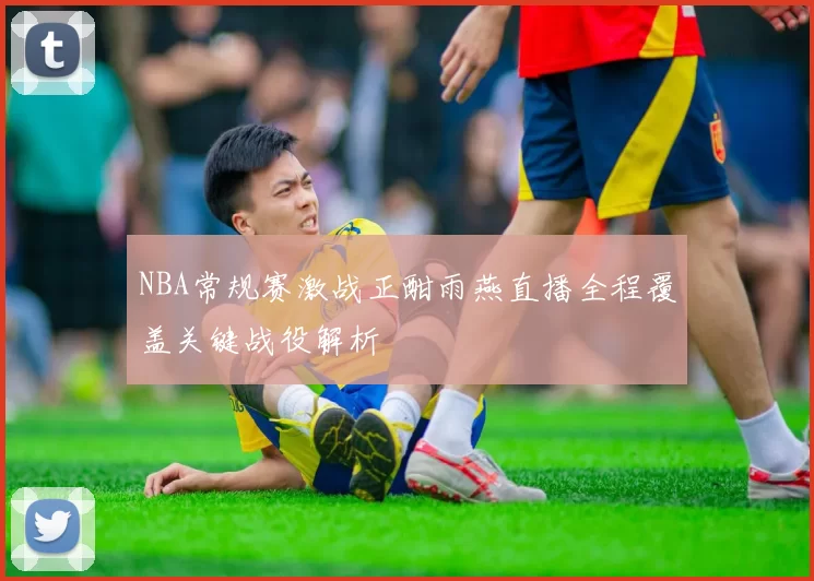 NBA常规赛激战正酣雨燕直播全程覆盖关键战役解析
