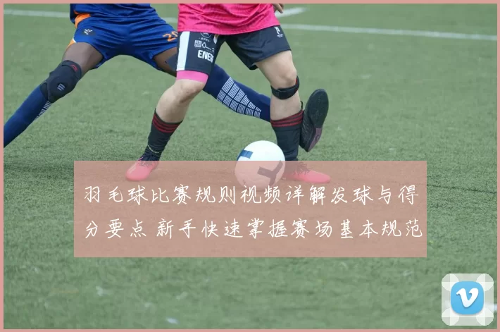 羽毛球比赛规则视频详解发球与得分要点 新手快速掌握赛场基本规范