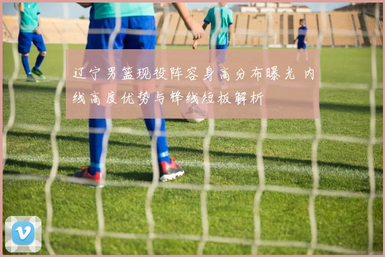 辽宁男篮现役阵容身高分布曝光 内线高度优势与锋线短板解析